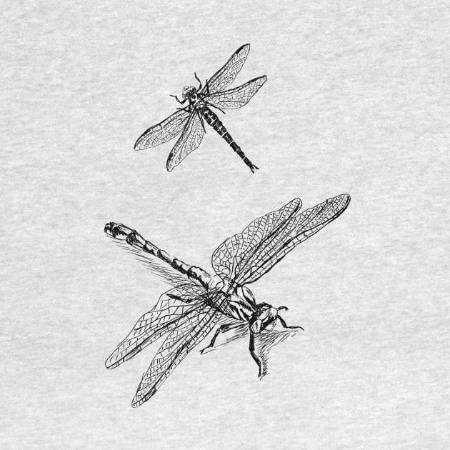 Dragonflies Print by rachelsfinelines